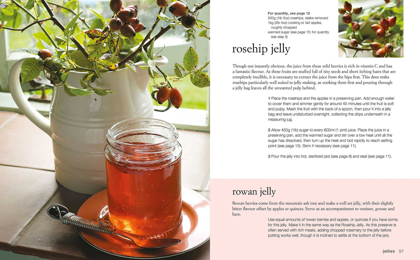 Preserves and Pickles by Gloria Nicol