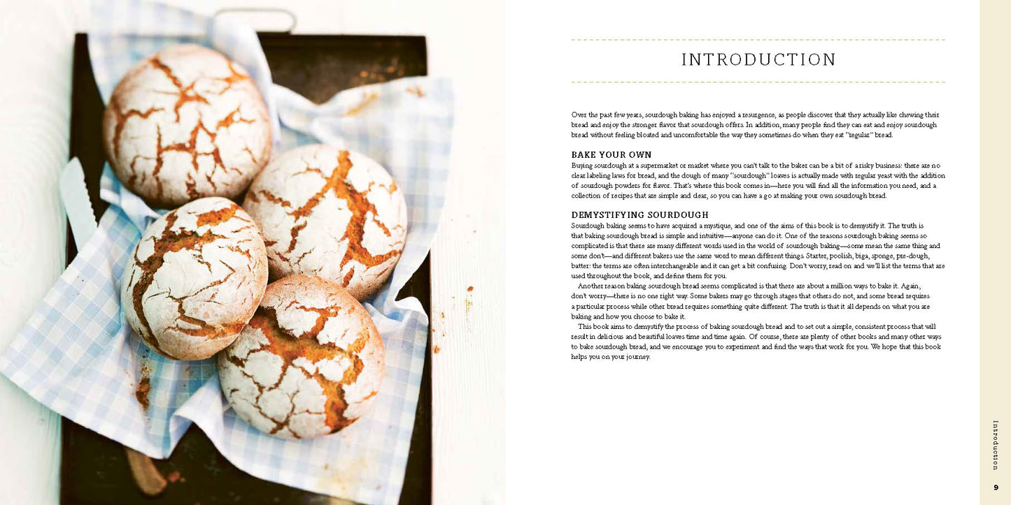 Homemade Sourdough by Jane Mason